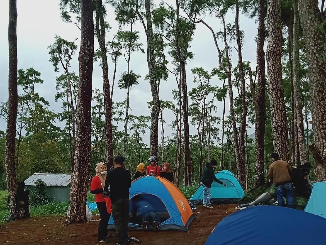 Celcius Villa And Camp With Tour Ijen Glagah  Exteriér fotografie